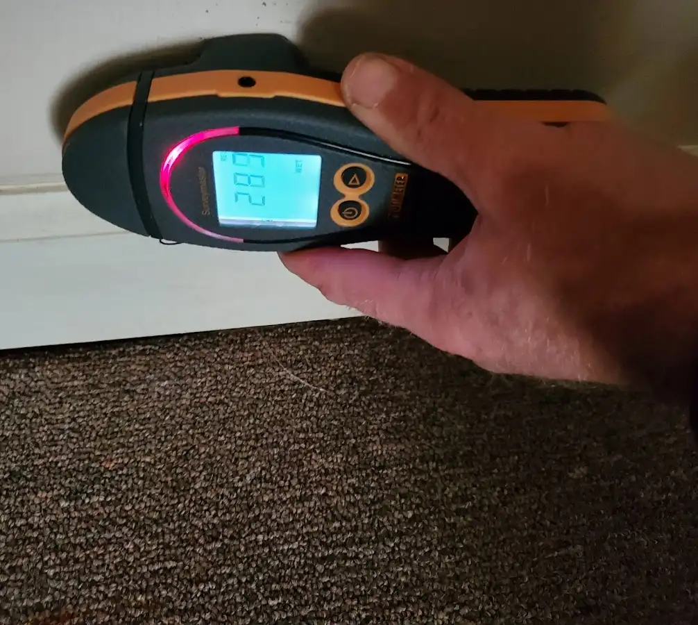 Moisture detection at baseboard during Sewage Cleanup & Sanitation in Montclair